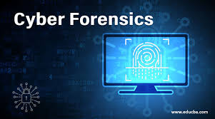 Cyber Crime Investigation And Forensic